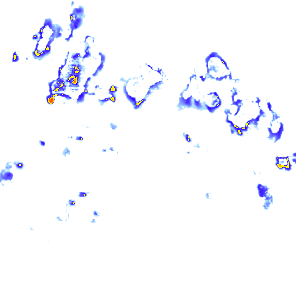 rainLayer