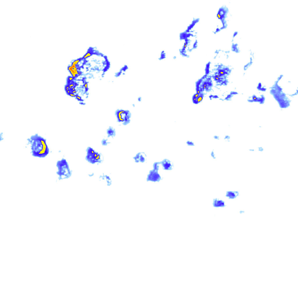 Image Layer