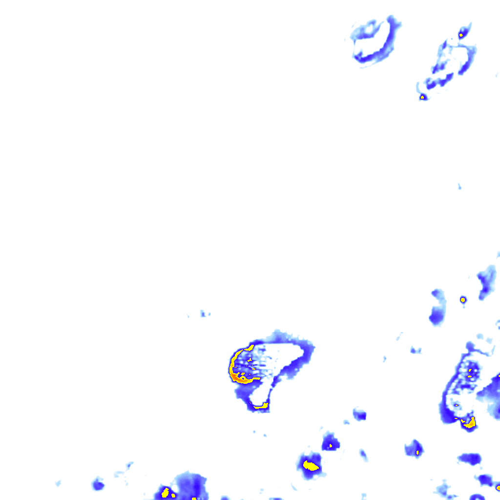 rainLayer