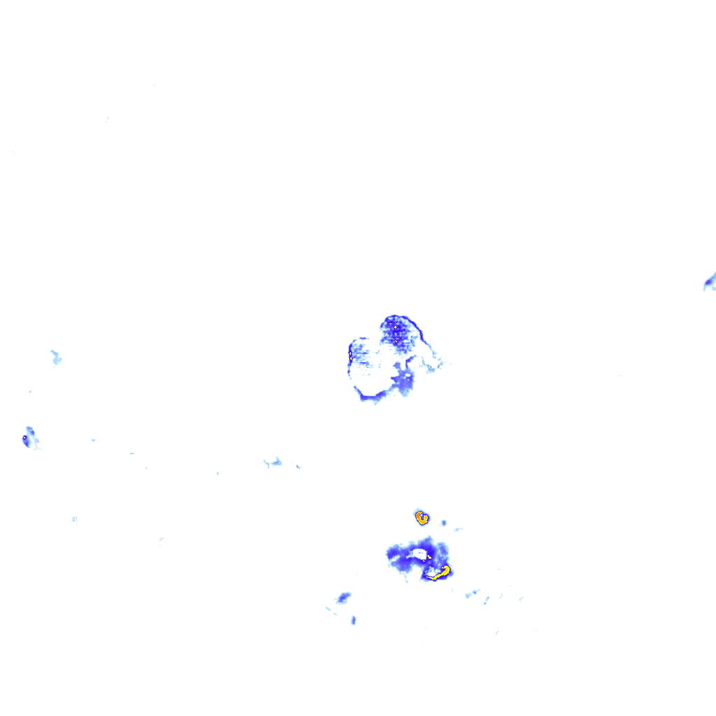rainLayer