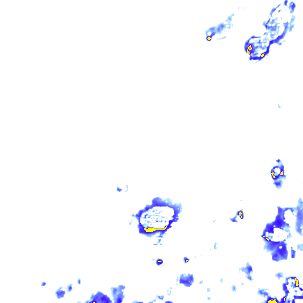 rainLayer