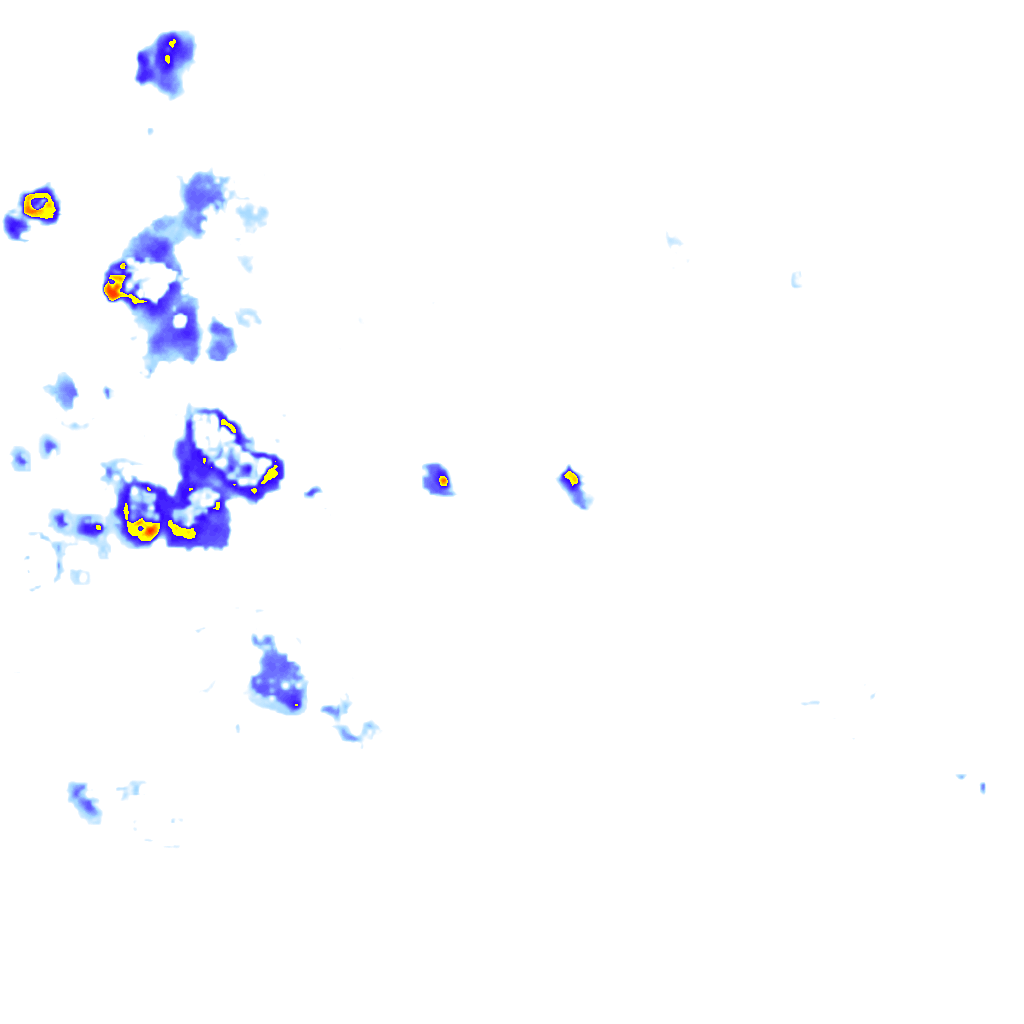 rainLayer