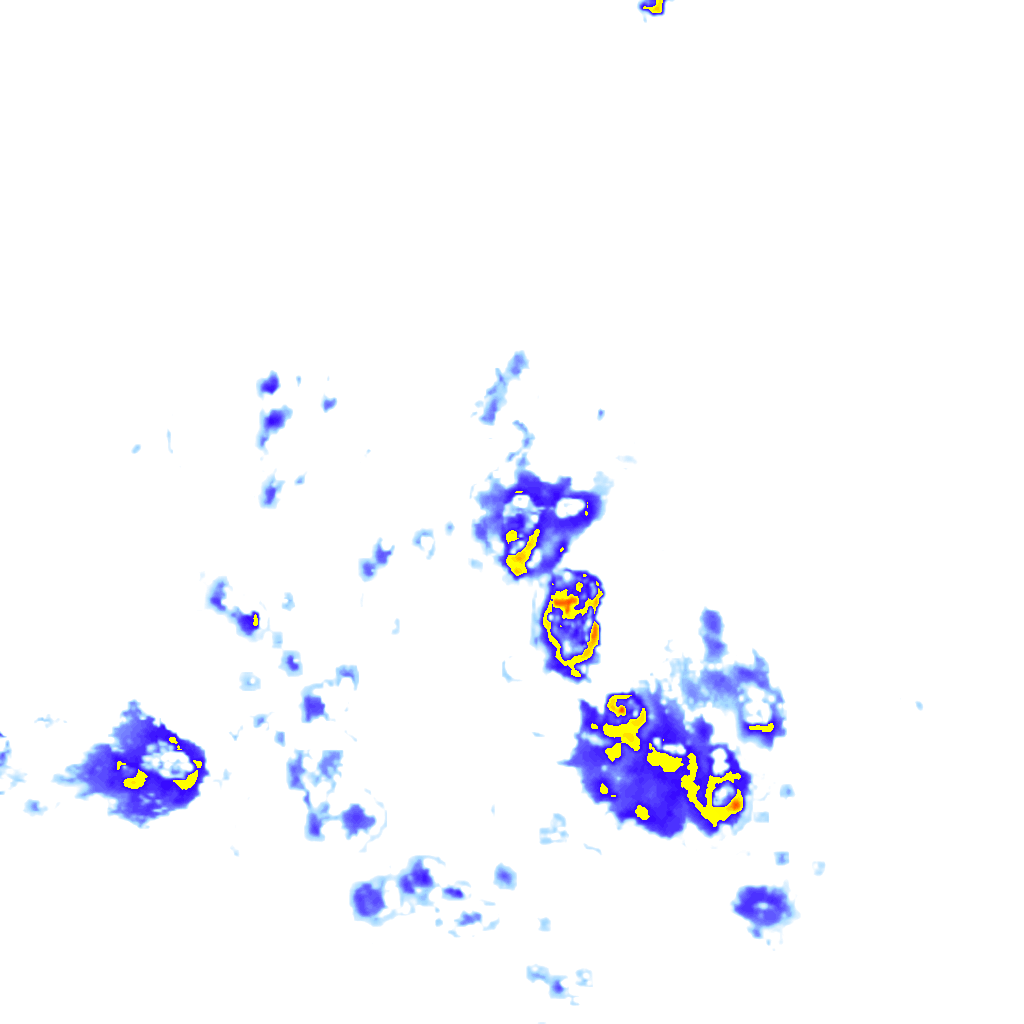 rainLayer