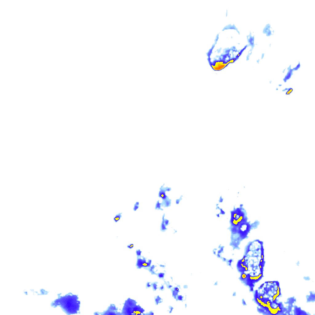 rainLayer