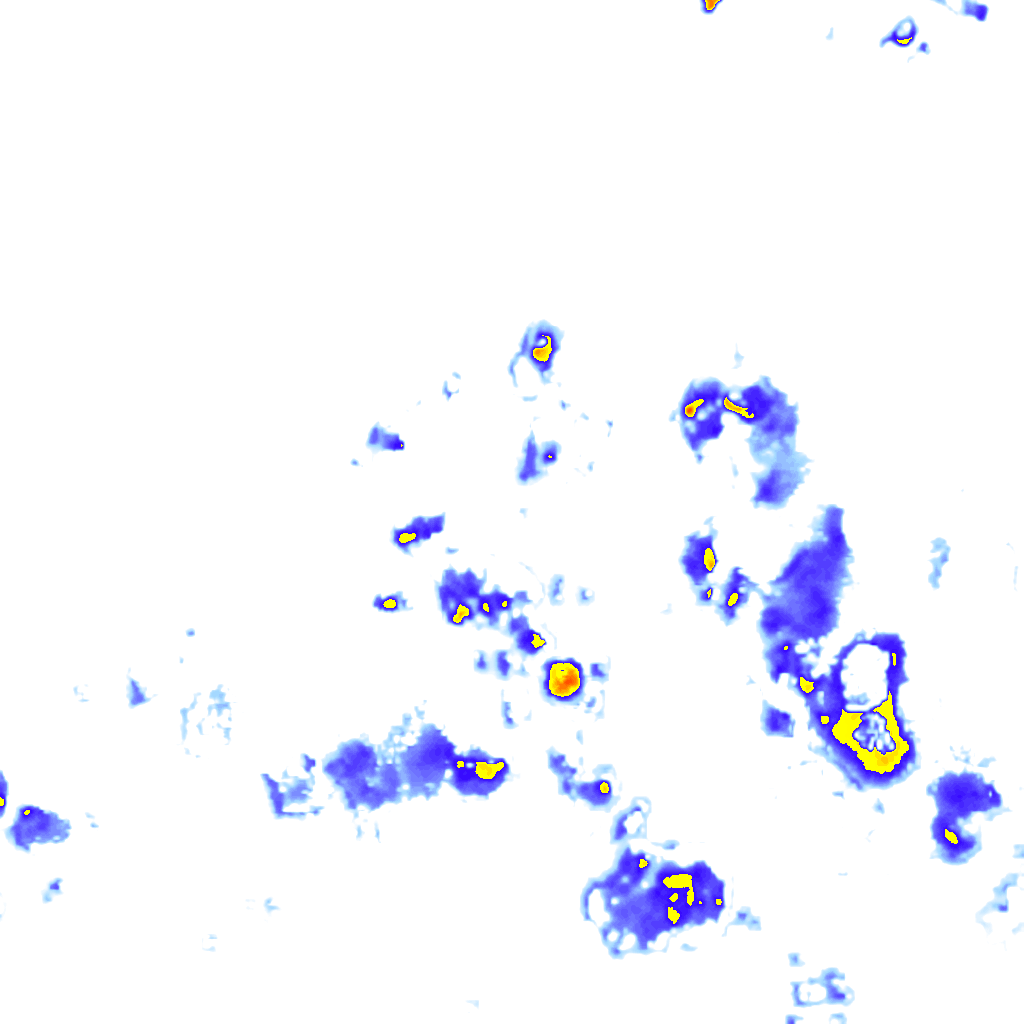 rainLayer