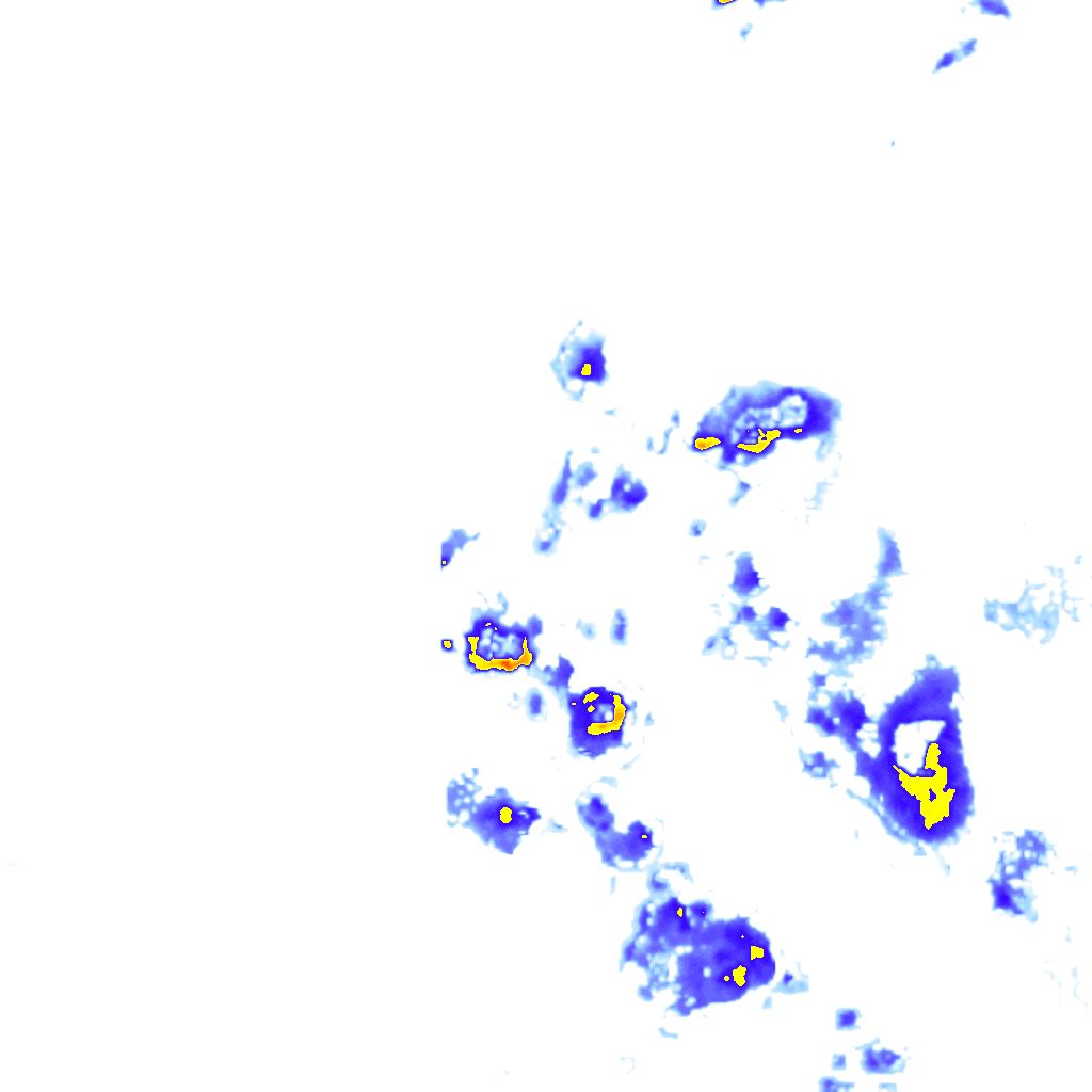 rainLayer