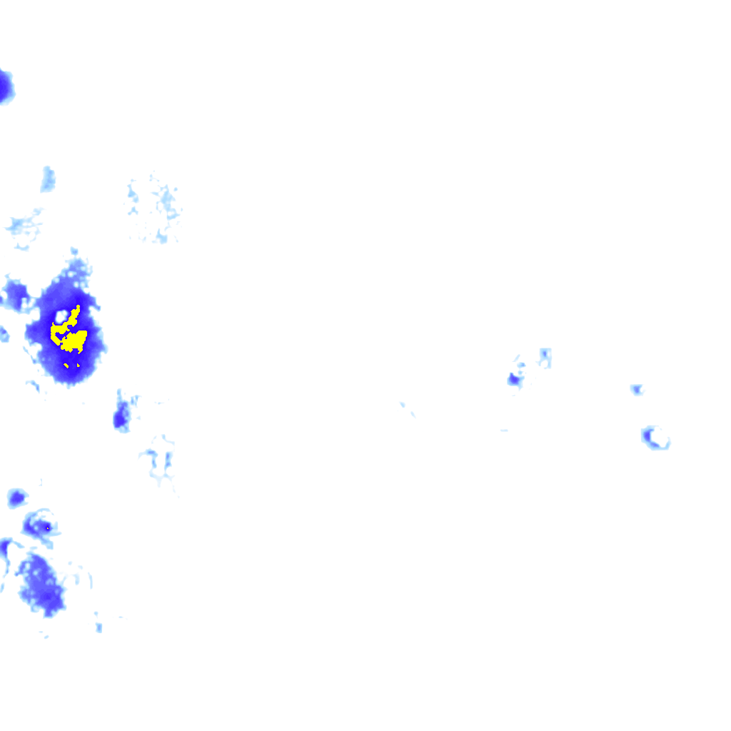 rainLayer