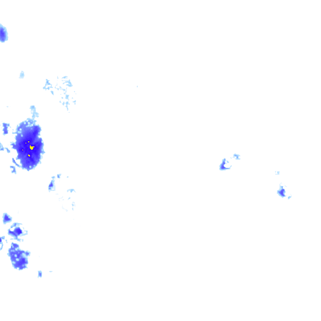 rainLayer