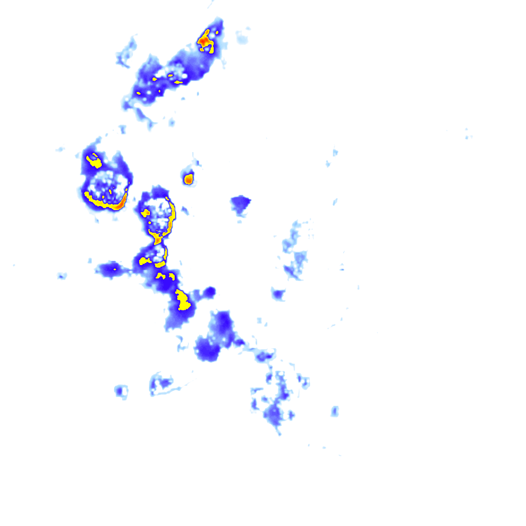 rainLayer