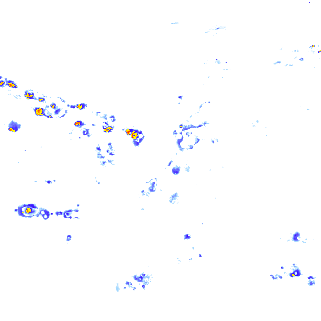 rainLayer