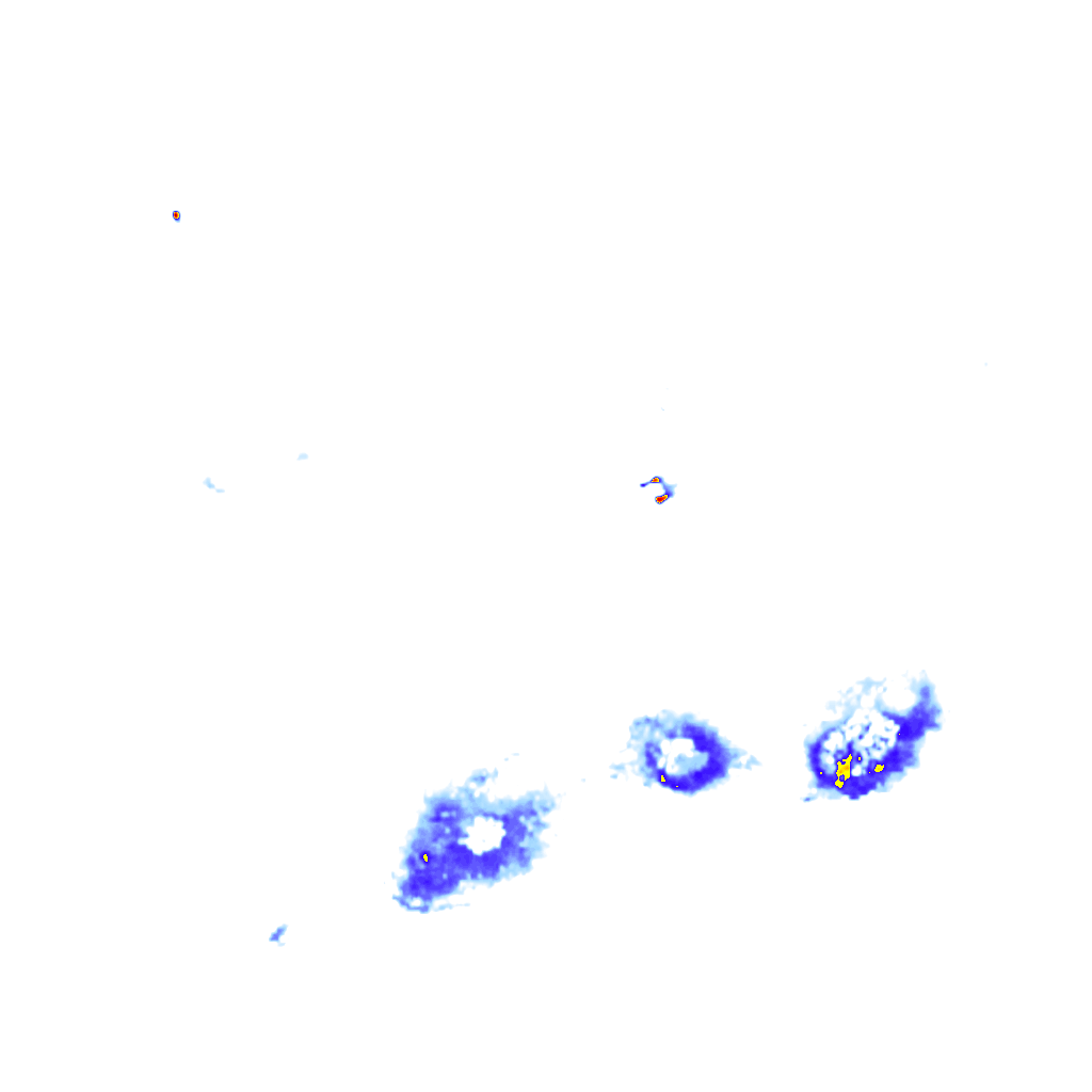 rainLayer