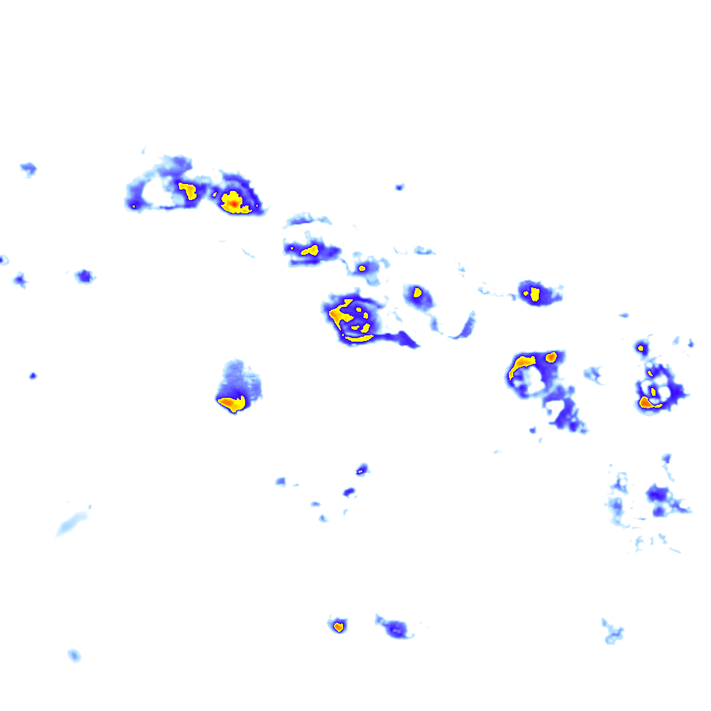 Image Layer