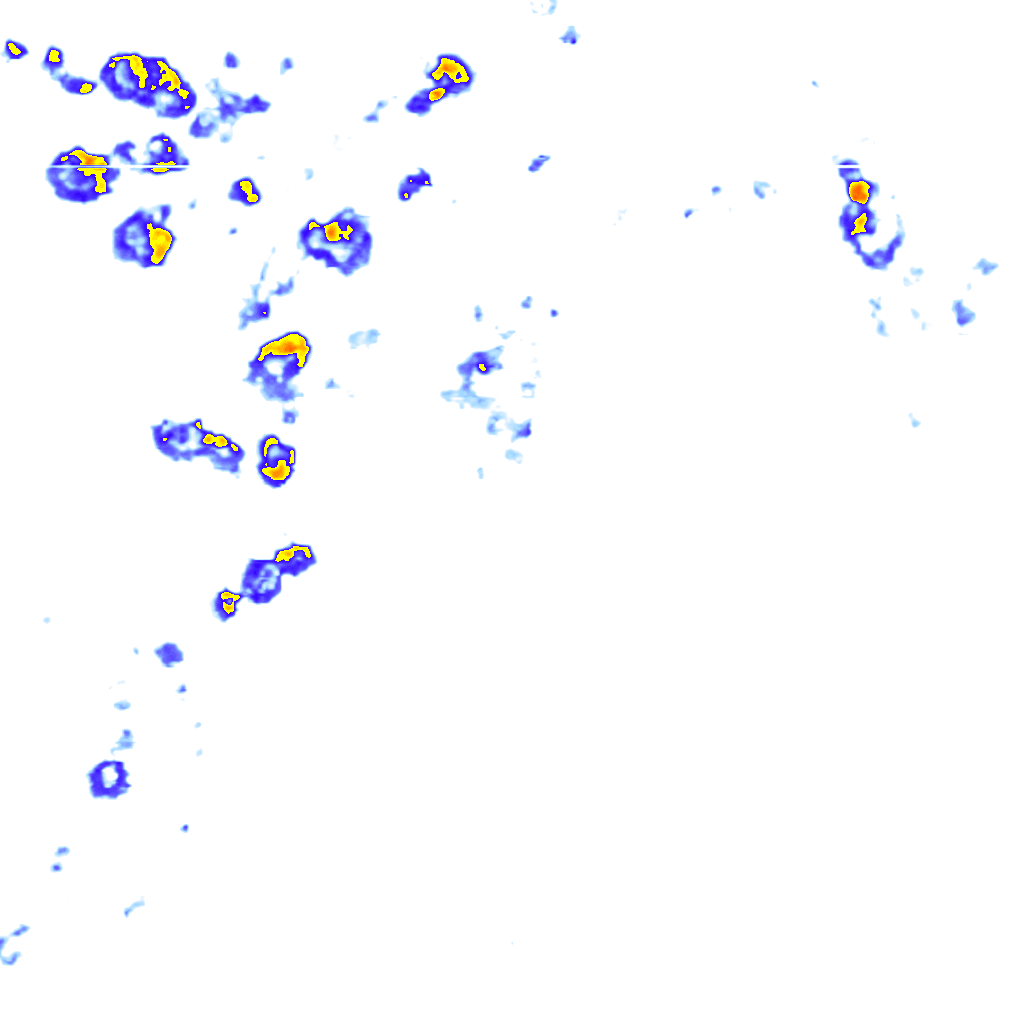 Image Layer