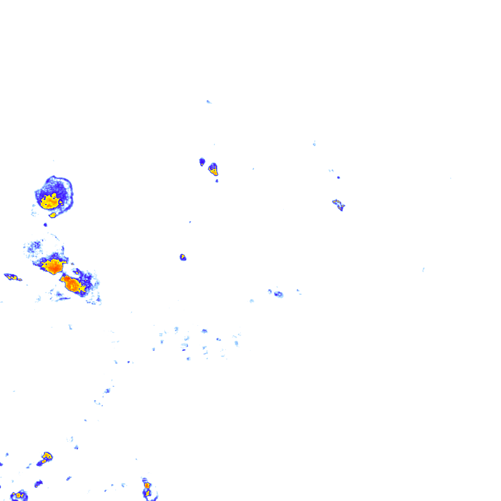 rainLayer