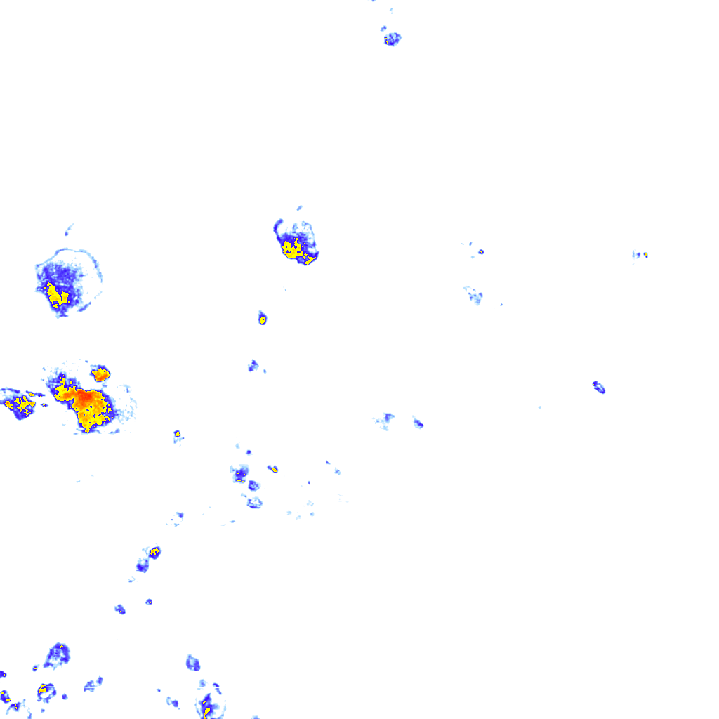rainLayer