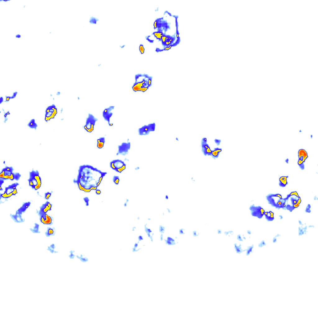 Image Layer