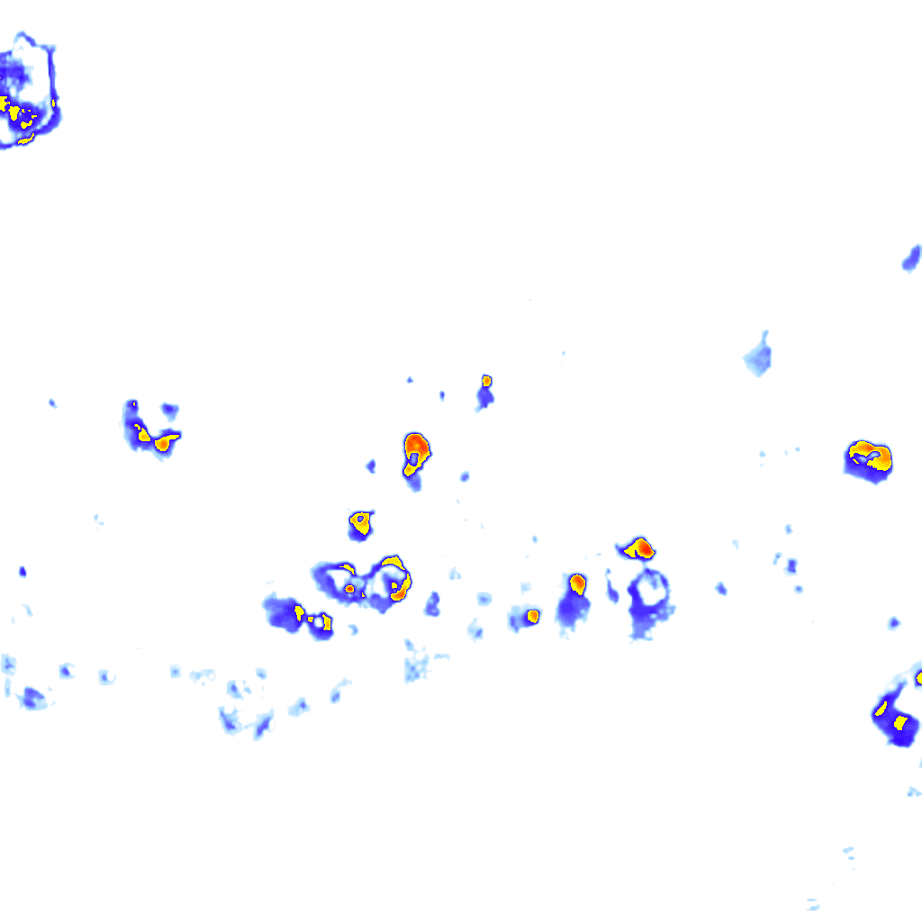 Image Layer