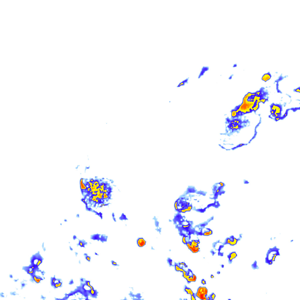 rainLayer
