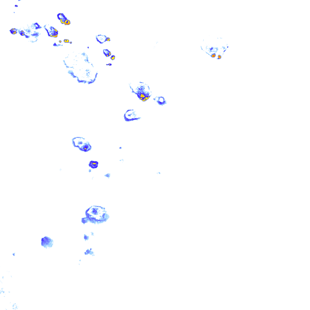 rainLayer