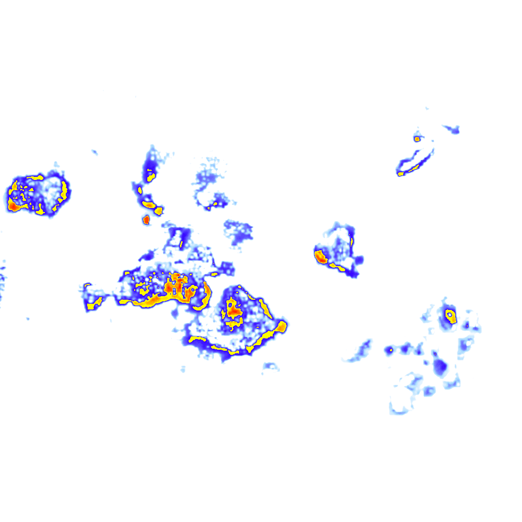 Image Layer