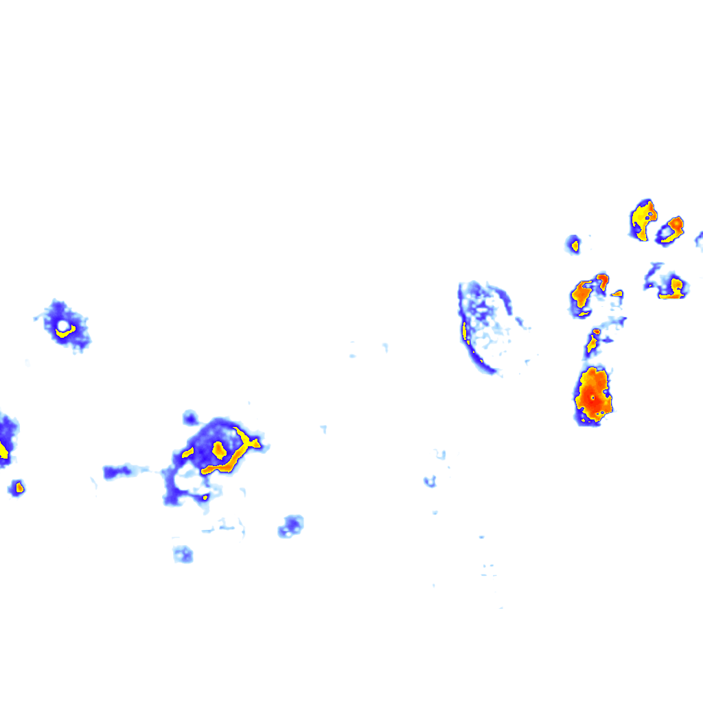 rainLayer