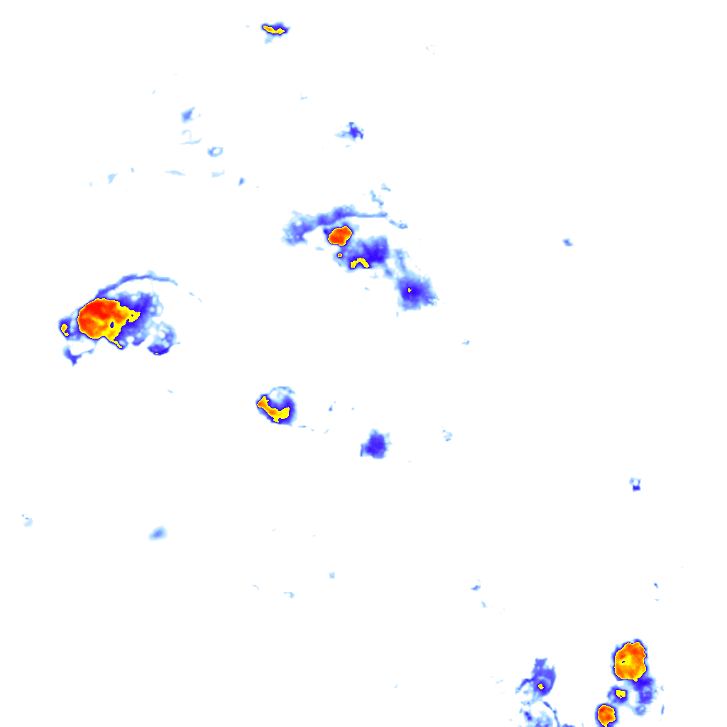 Image Layer