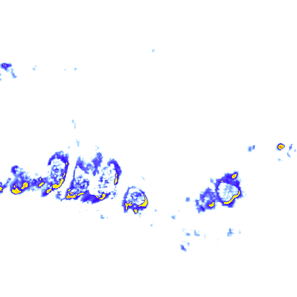 Image Layer