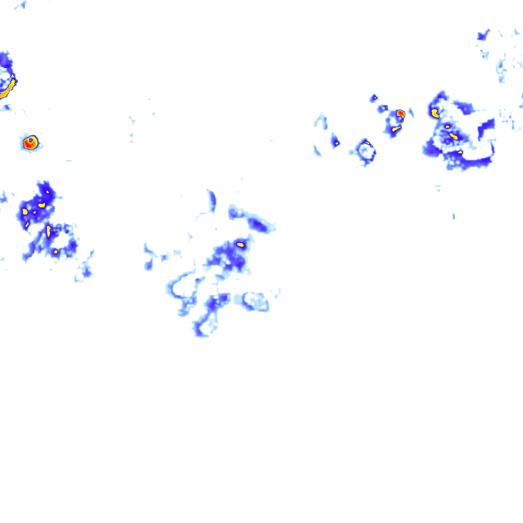 rainLayer