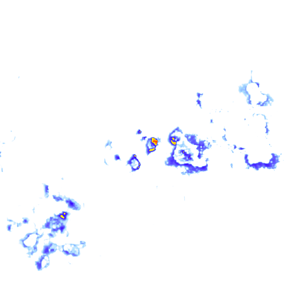 rainLayer