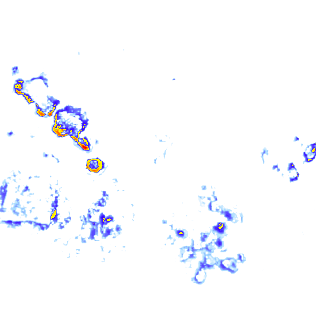 Image Layer