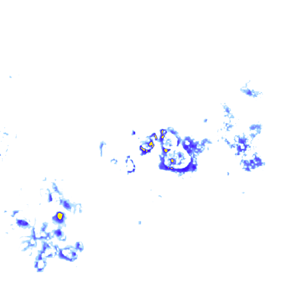 Image Layer