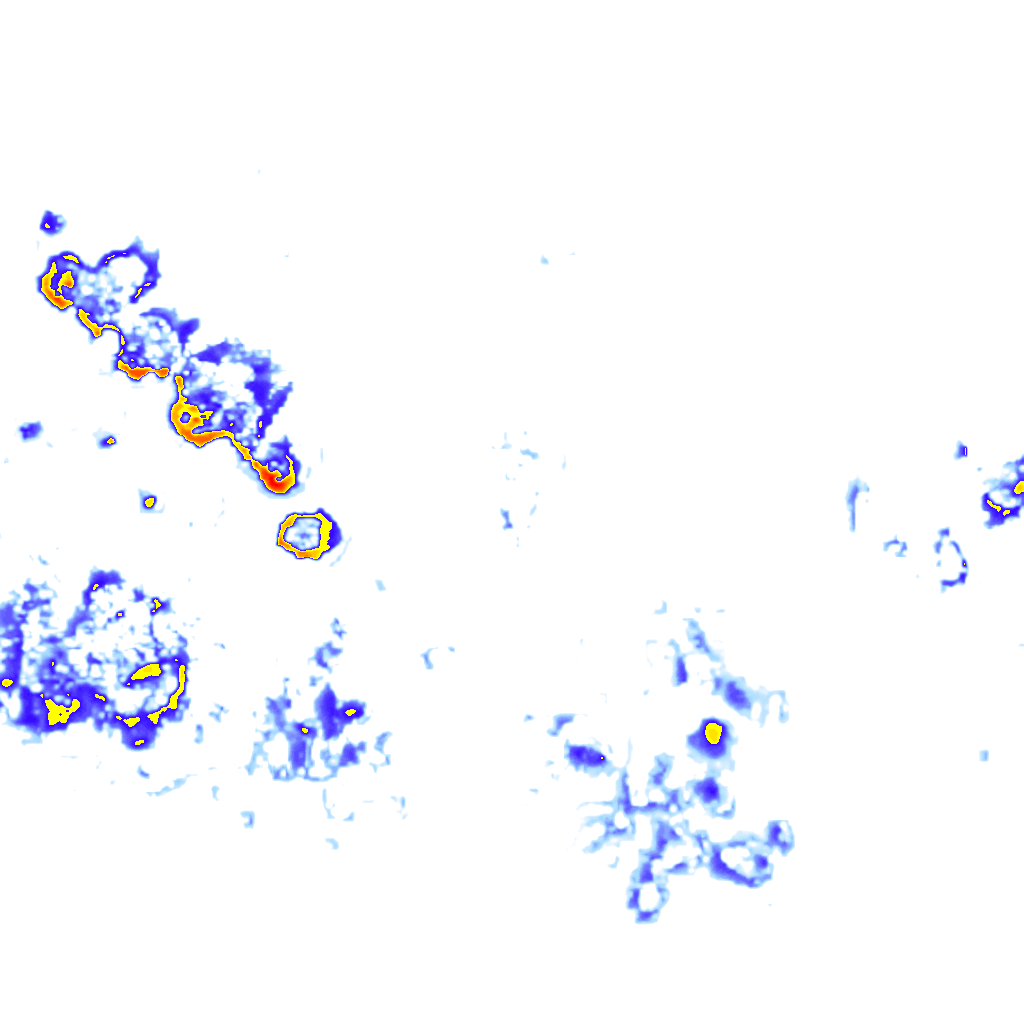 Image Layer