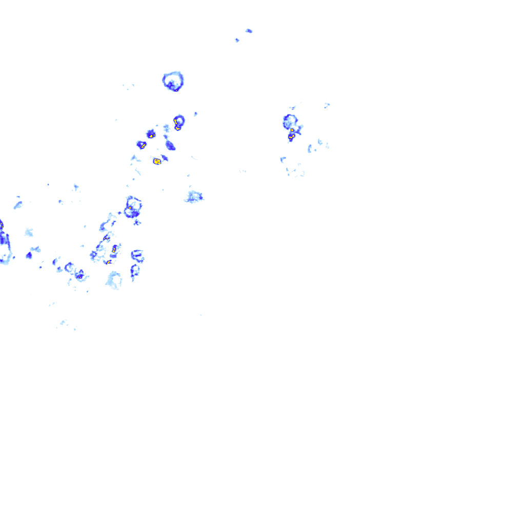 rainLayer