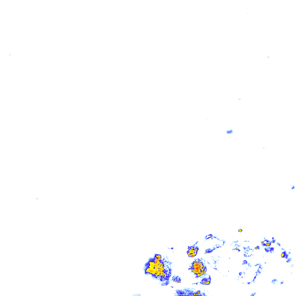 rainLayer