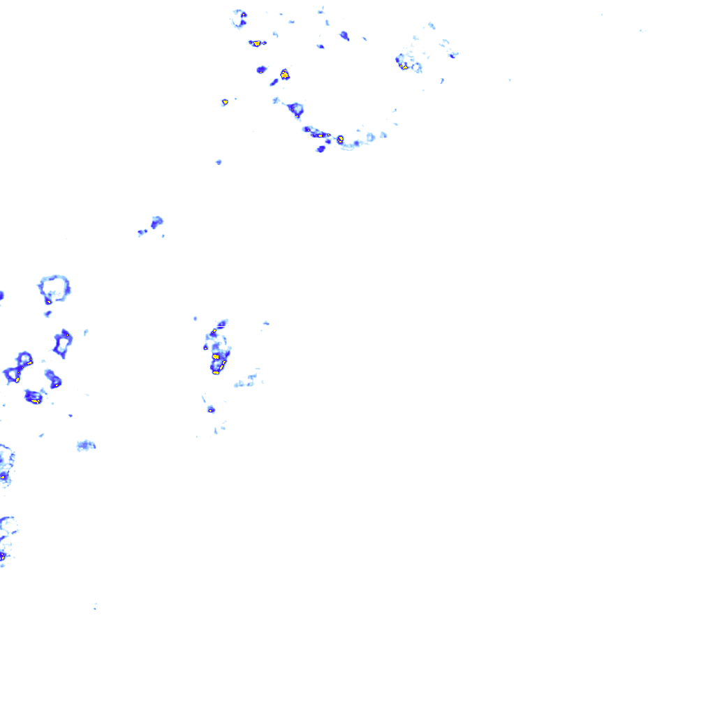 rainLayer