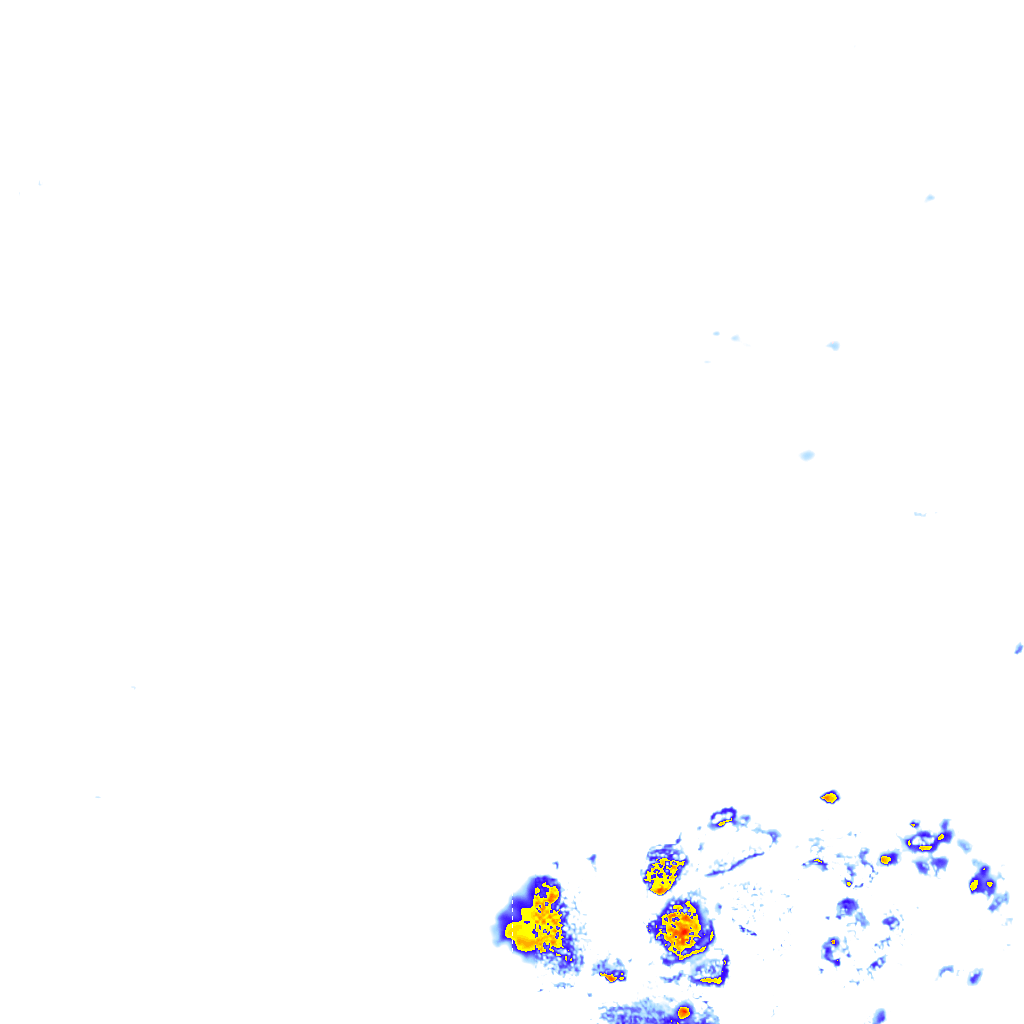 rainLayer
