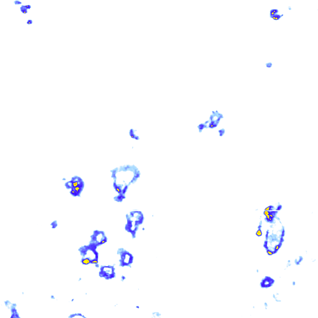 rainLayer