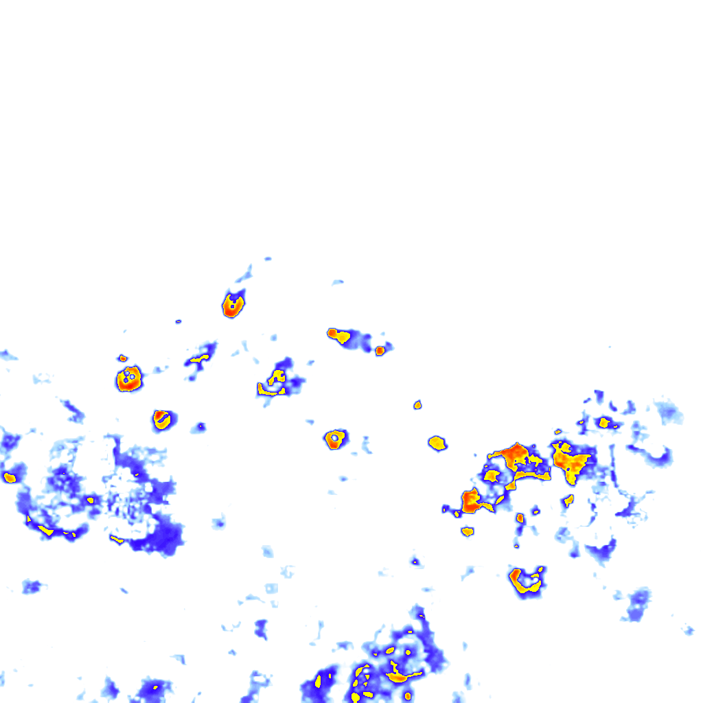 rainLayer