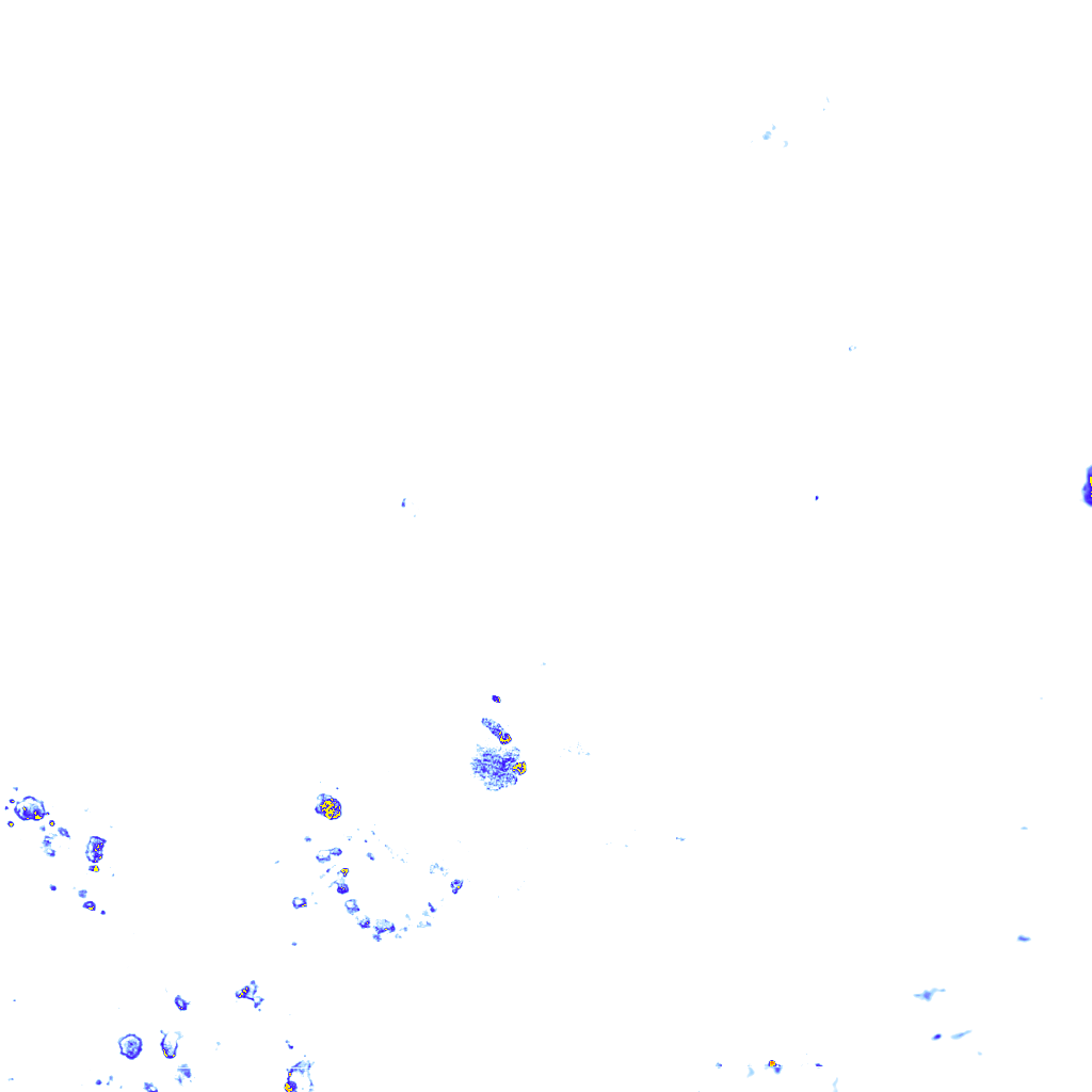 rainLayer