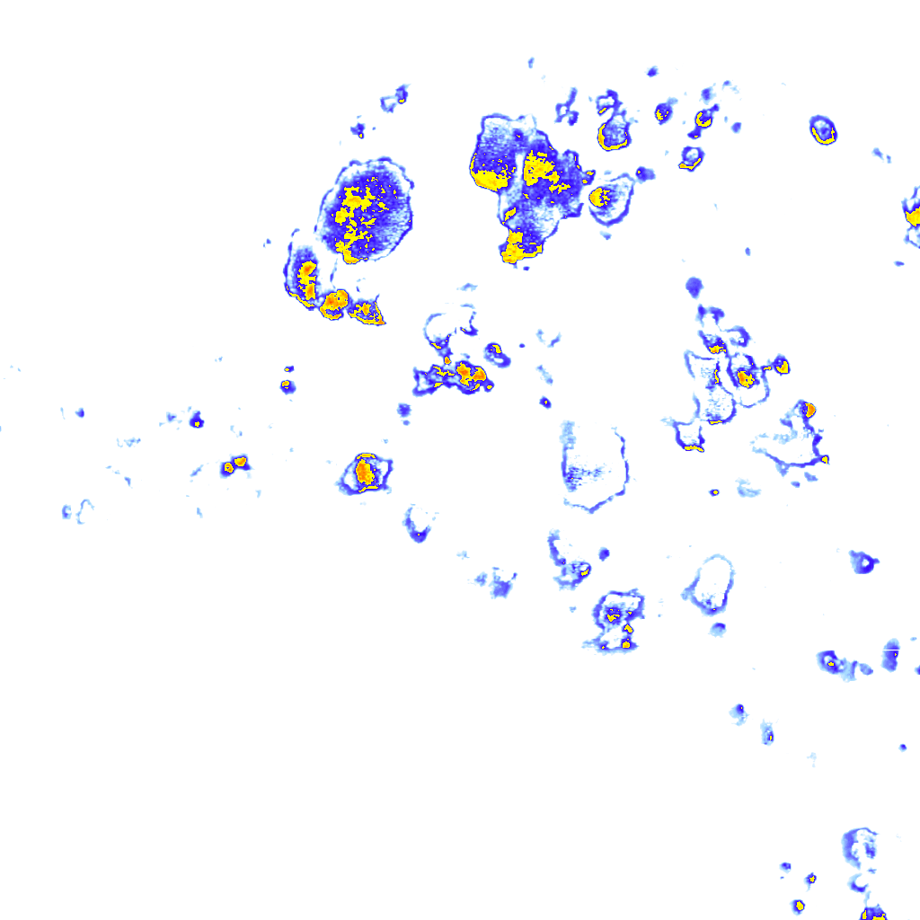 Image Layer