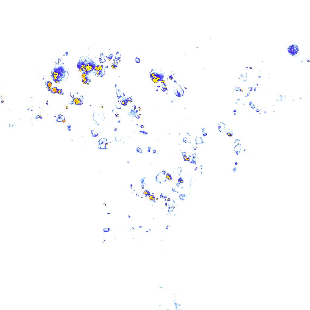 rainLayer