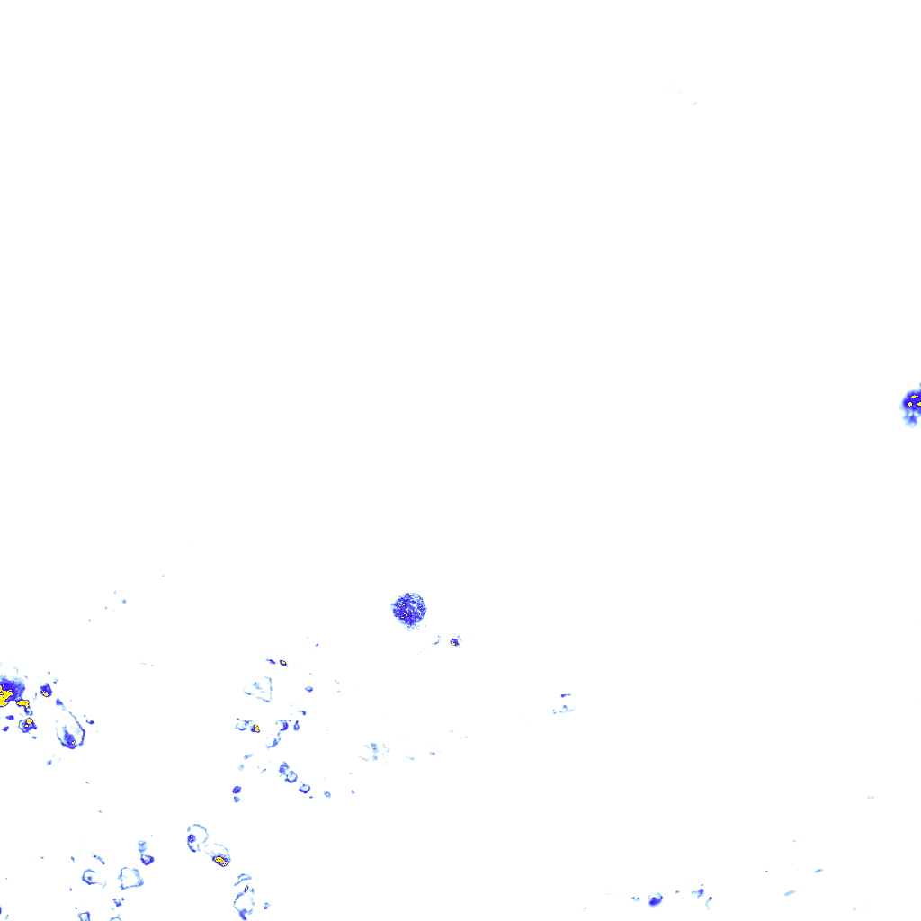 rainLayer