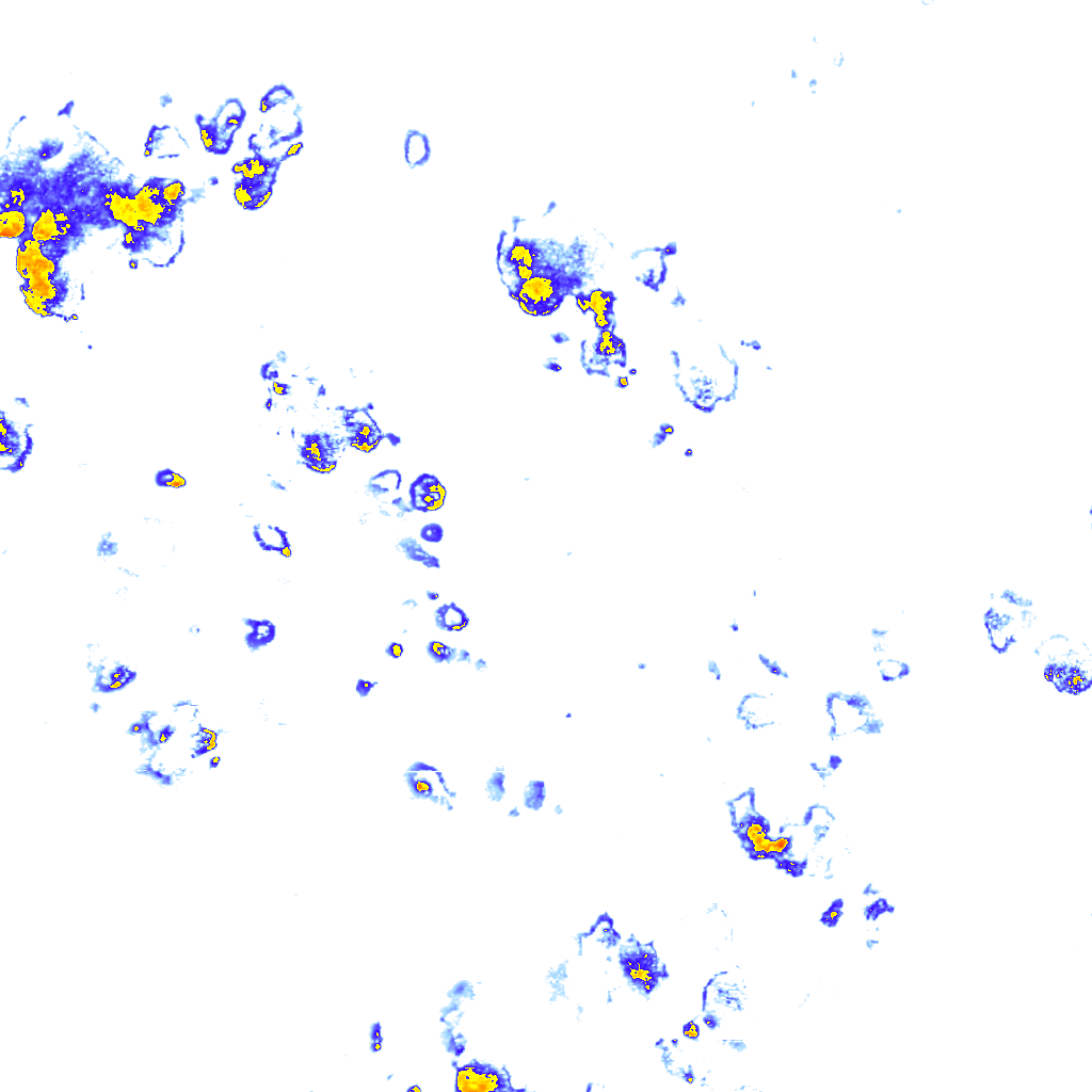 rainLayer