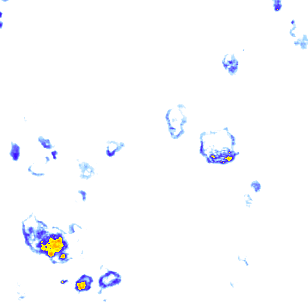 Image Layer