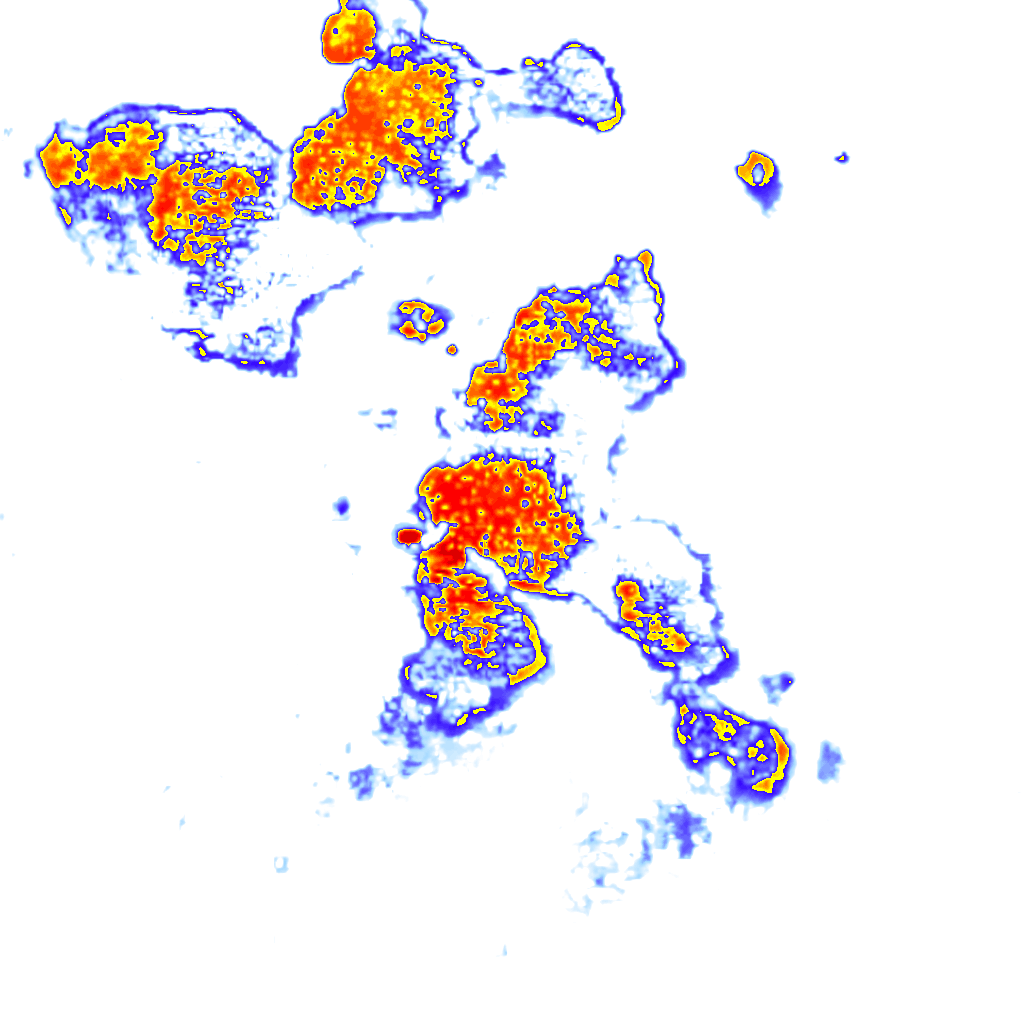 Image Layer