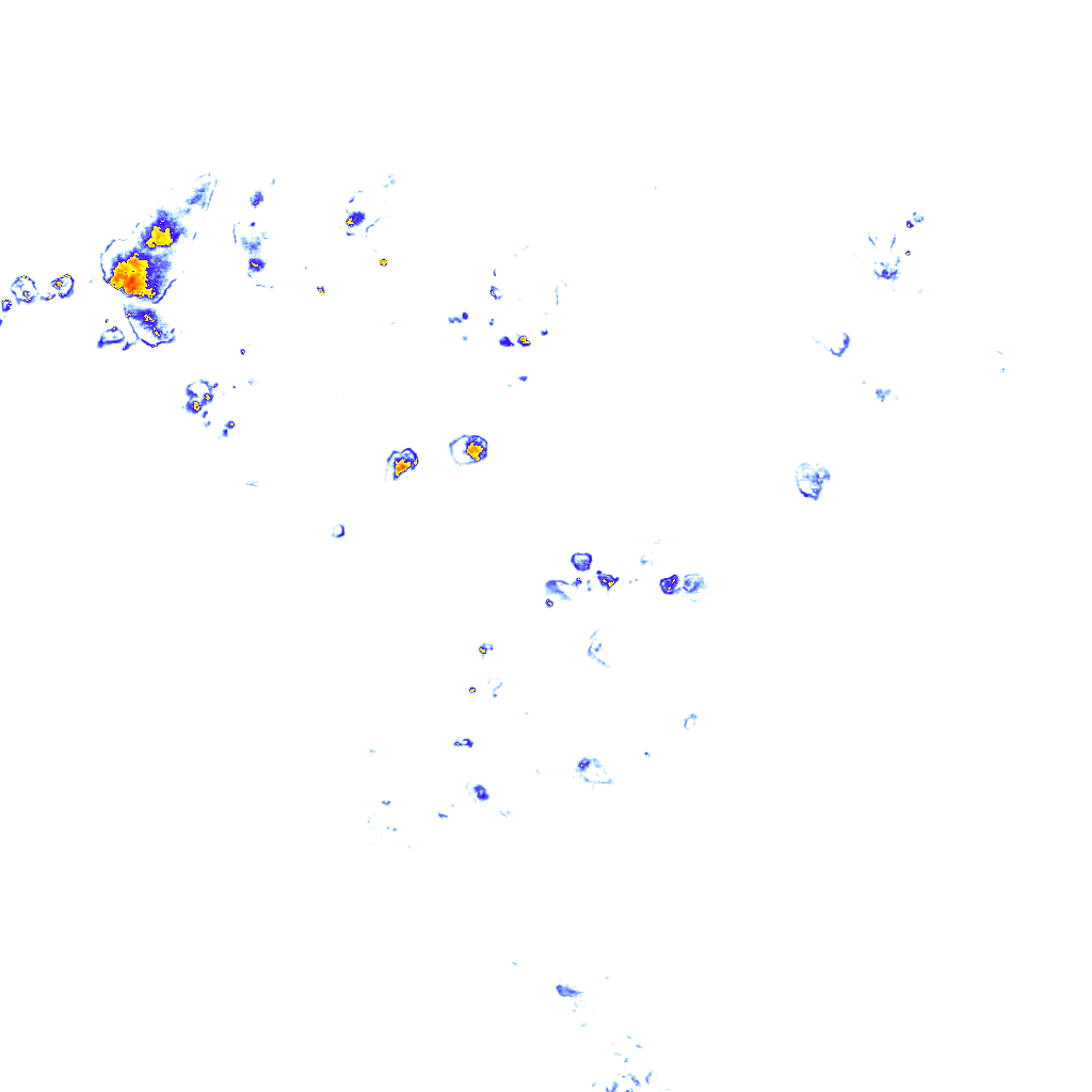 rainLayer