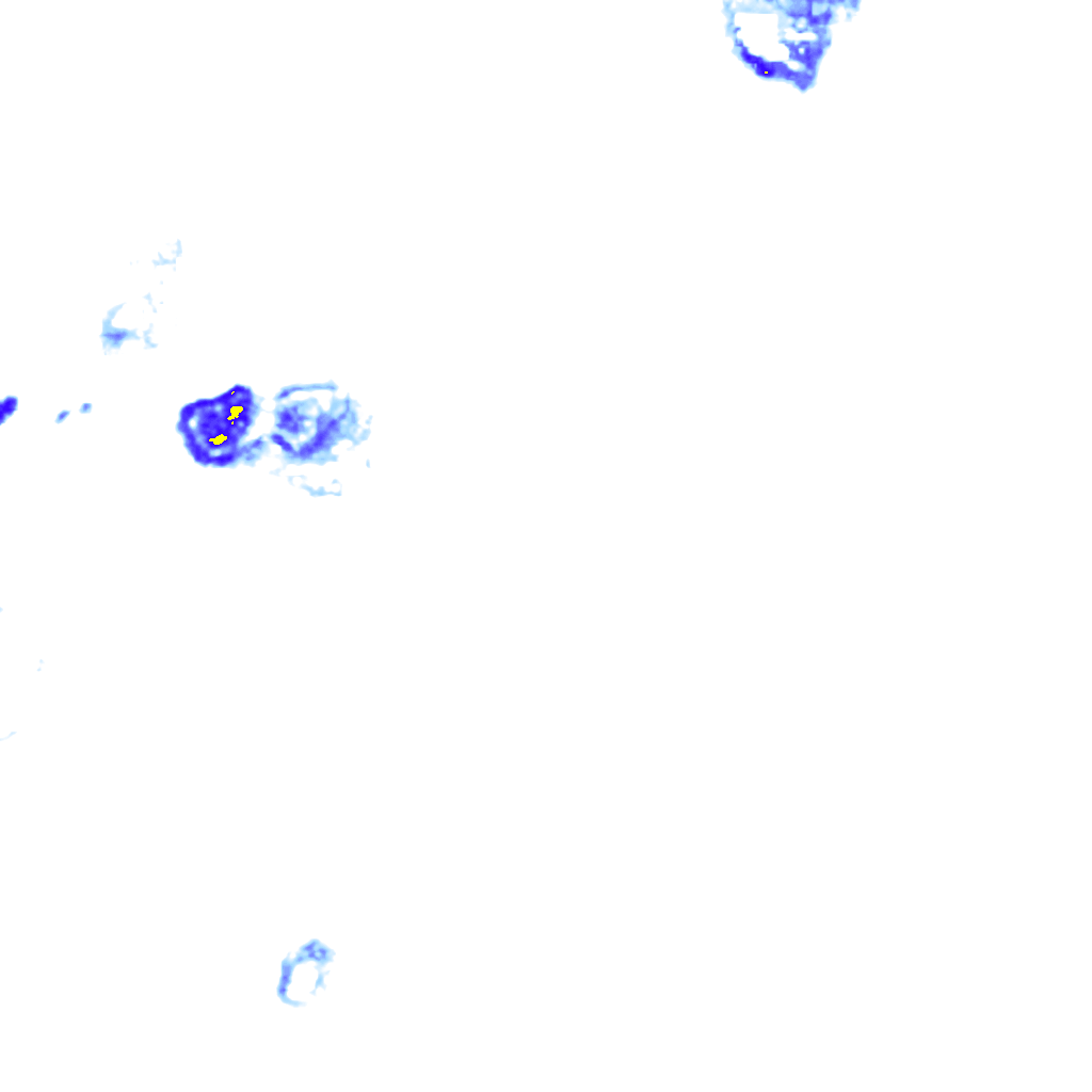 rainLayer