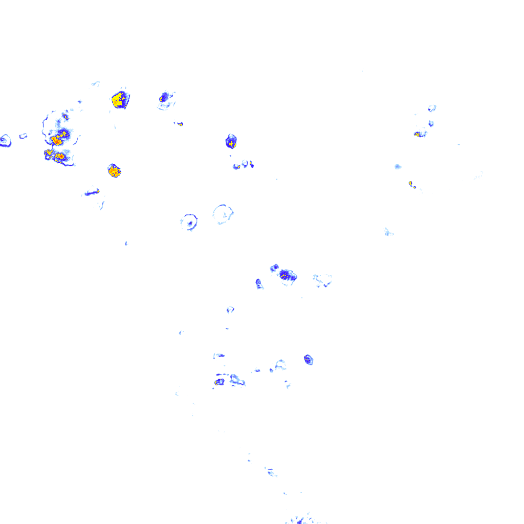 rainLayer