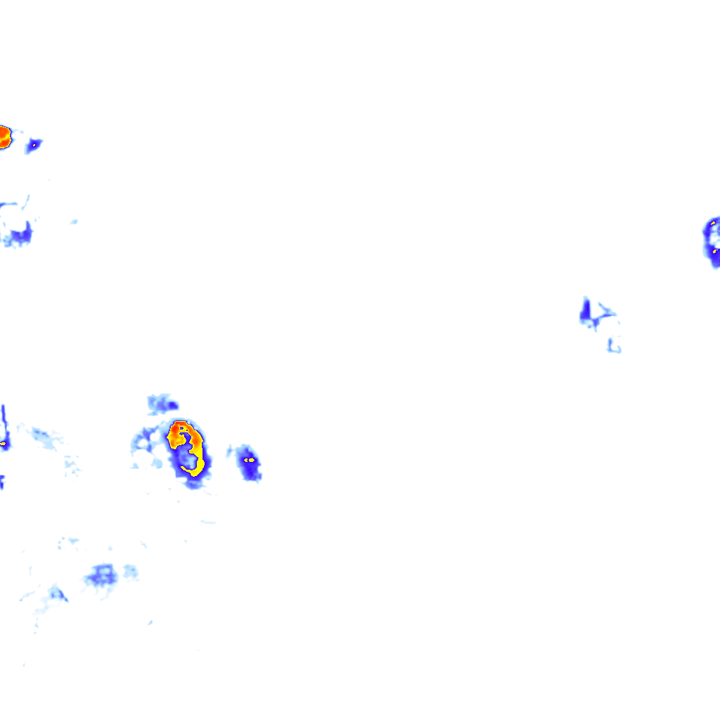 rainLayer