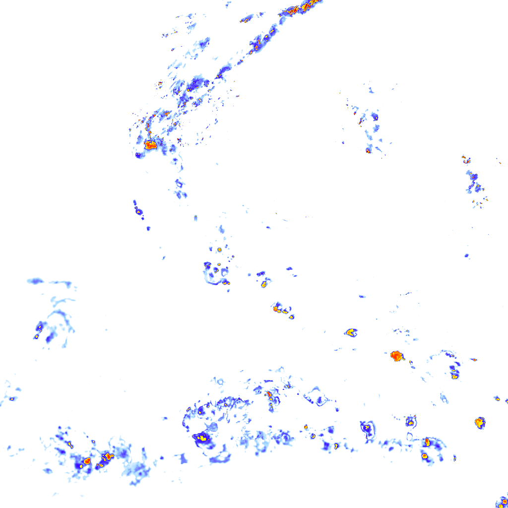 rainLayer